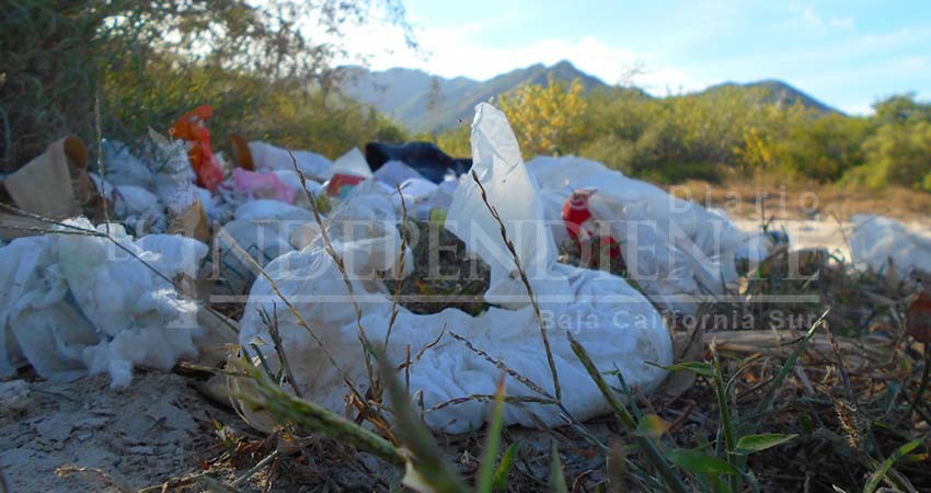 Brechas y accesos a la colonia Ejidal están convertidos en basureros 