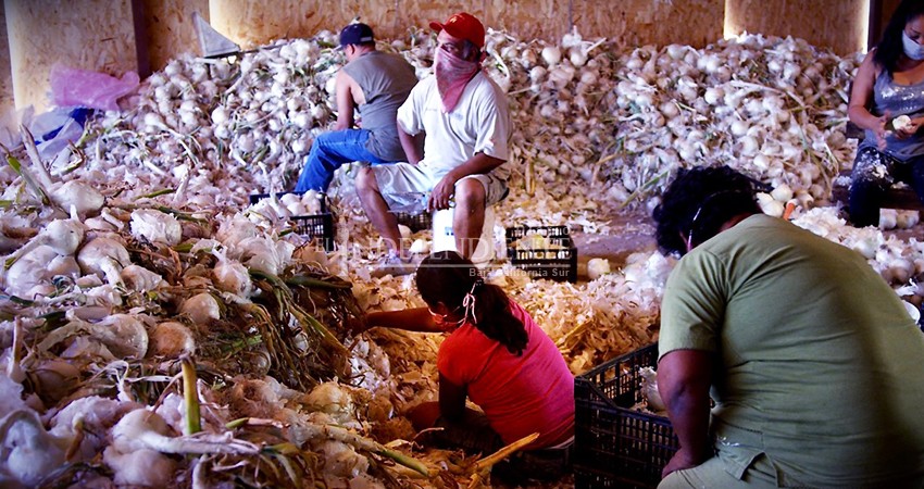 No paramos por COVID-19, los ranchos ya estábamos “aislados”: Agricultor