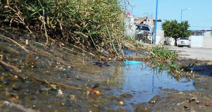 Mientras unos pasan semanas sin agua, por fugas se desperdicia el agua potable