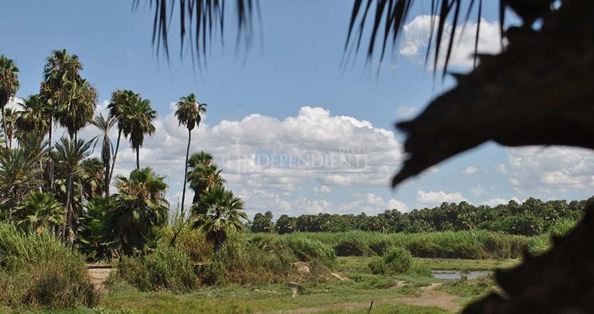 Sin ejercer 5 mdp destinados a la conservación del estero josefino