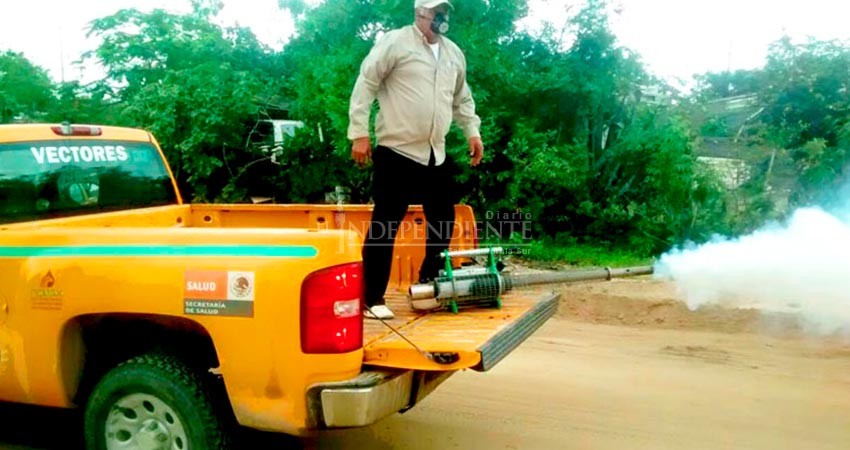 Fumigar no elimina criaderos de zancudos; la prevención es lo más efectivo contra el dengue 