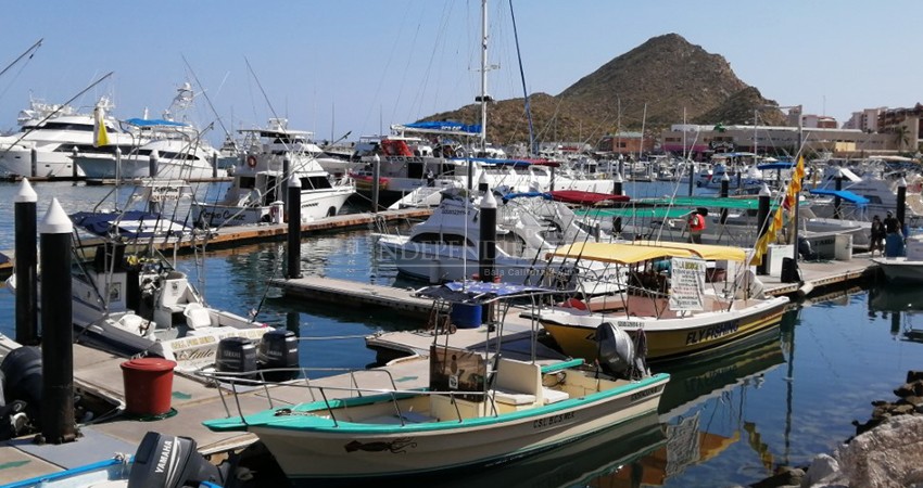 Flotan plásticos en marina turística de CSL  