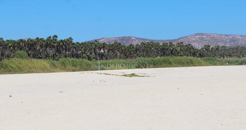 Sorprenden a ciudadanos haciendo actos indebidos en el Estero de San José