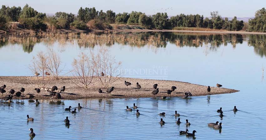 Con éxito se realiza el primer avistamiento de aves en el Eco Parque de la Juventud