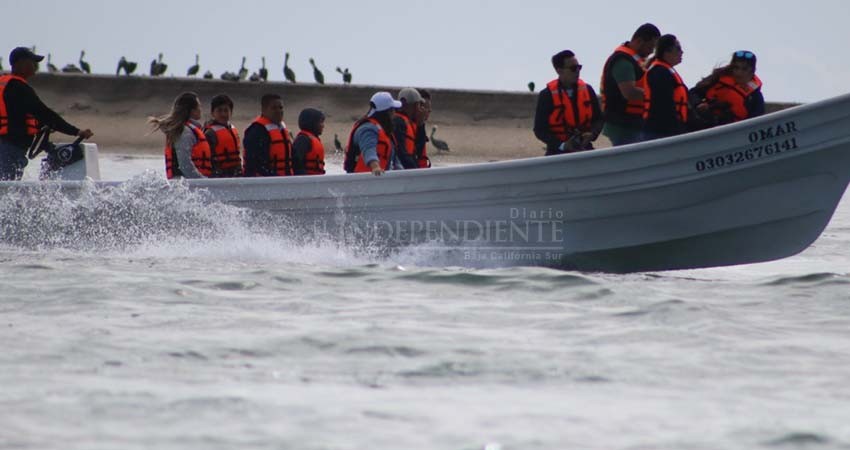 Puerto Chale, cierra con gran éxito su temporada de avistamiento de la ballena gris 