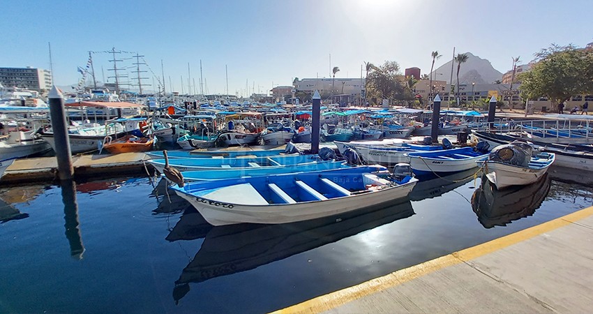 Candidata a diputación local por el Verde propone municipalizar el puerto de CSL 