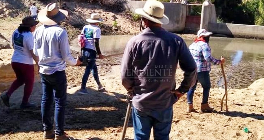 Somos apartidistas y merecemos respeto: Colectivo de Búsquedas San José del Cabo 