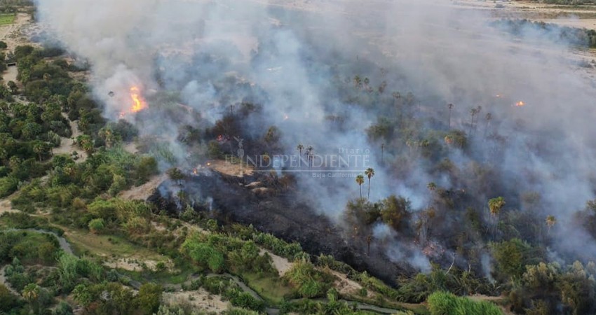 Aún se desconocen las causas del incendio en el Estero San José  