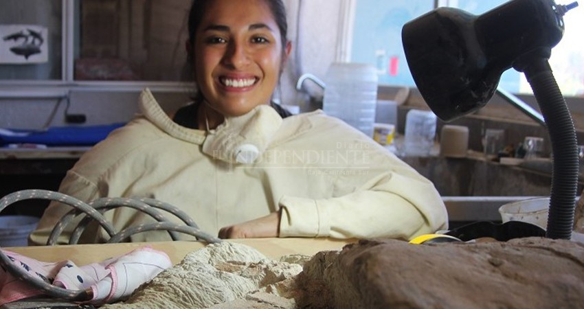 Descubren a “Kennedycetus pericorum”, ballena extinta de Miraflores