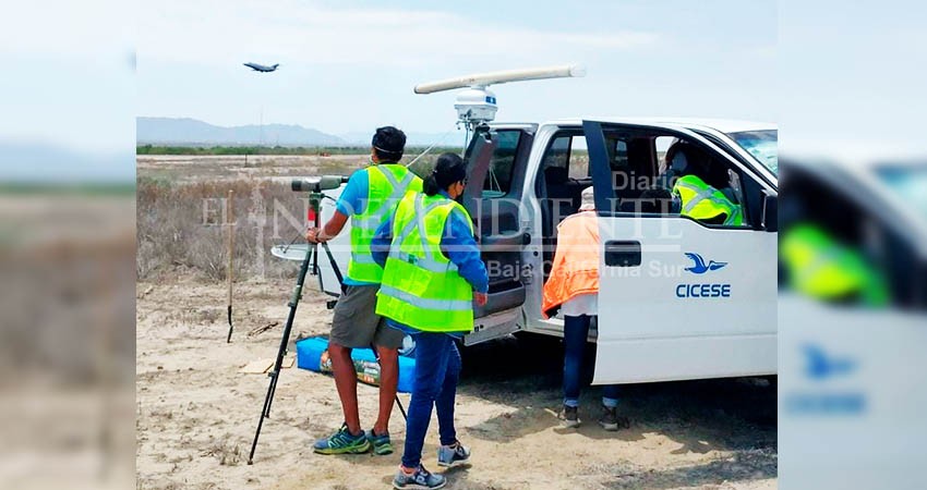 Colaboran CICESE La Paz y UABCS en diferentes proyectos de aeroecología marina