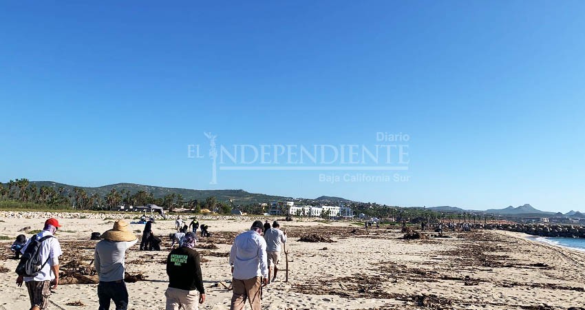 Intensifica Ecología y medio Ambiente, campañas de limpieza en Estero de SJC 