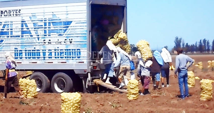 Denuncian trato inhumano a jornaleros en El Vizcaíno; piden apoyo de la autoridad 