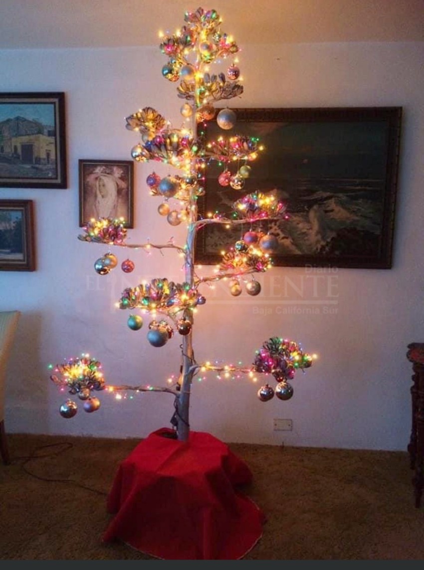 Promueven en redes sociales el árbol de navidad “choyero”