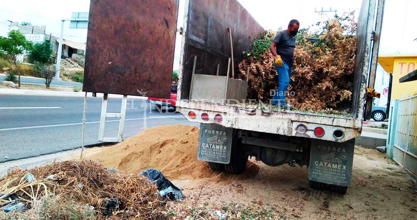 Más de 38 mil toneladas de basura ha retirado Servicios Públicos de Los Cabos con el Plan Emergente de Limpieza   